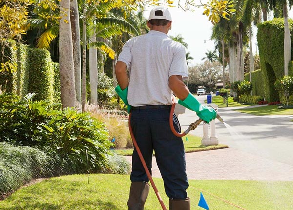 About Fort Collins CO Pest Control Pros